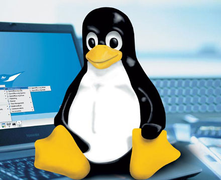 linux_pic01
